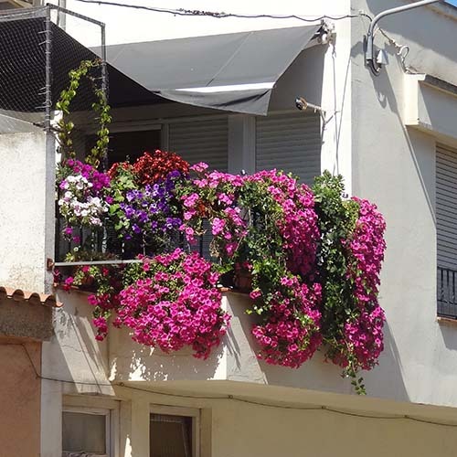 DSC01949
