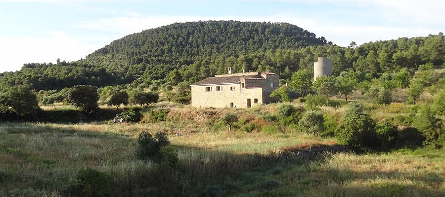 DSC01329_Vallseca_Catari