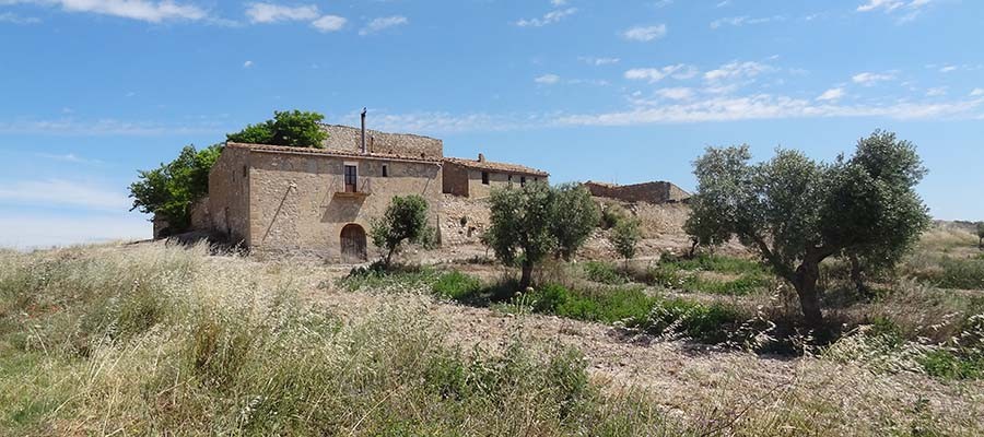 DSC01392_Mas-del-Tost